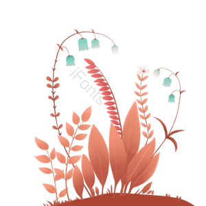 植物 花卉 风铃花 白色花 叶子 红叶子