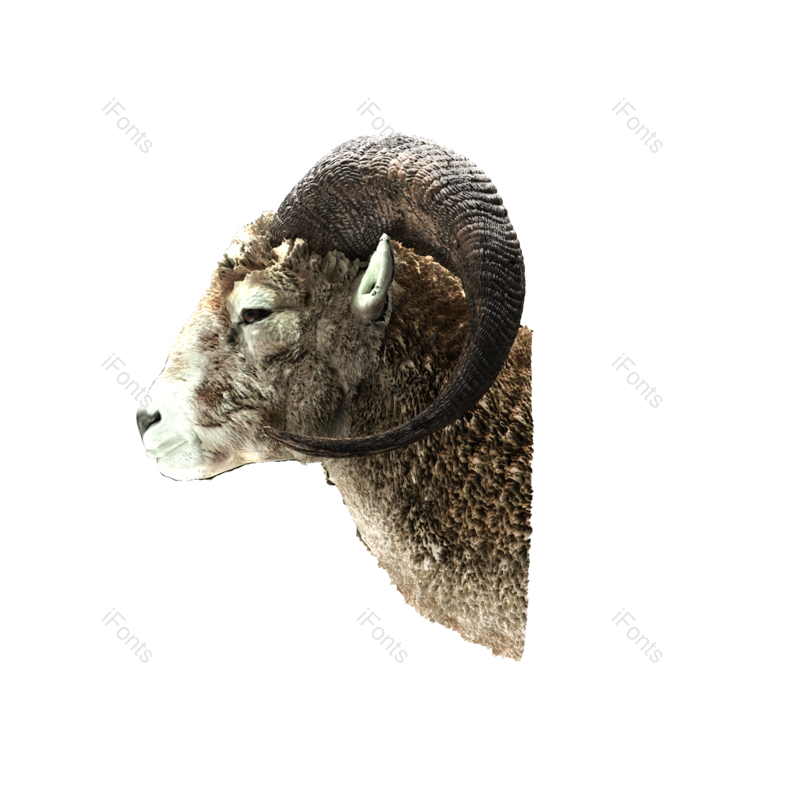 装饰图片,节日元素,元素PNG,免抠素材