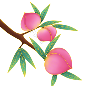 国潮 寿桃 桃树 水果 粉红色