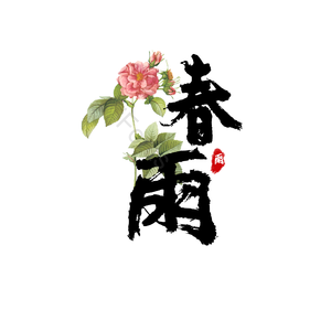 24节气 春雨 创意 中国风  毛笔字体