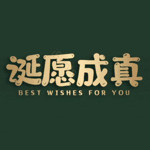 诞愿成真