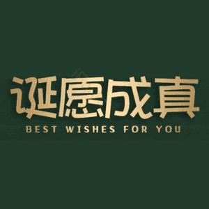 诞愿成真