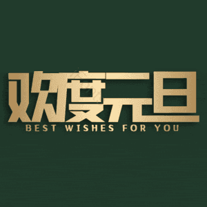 欢度元旦