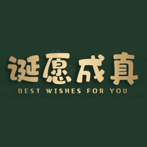 诞愿成真