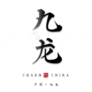 九龙