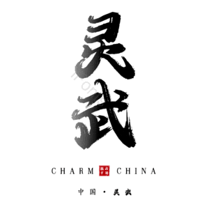 灵武