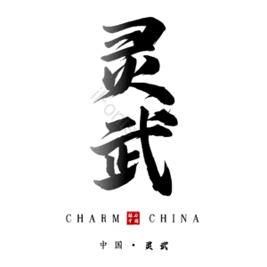 灵武