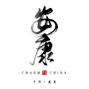 安康