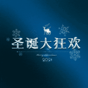 圣诞大狂欢