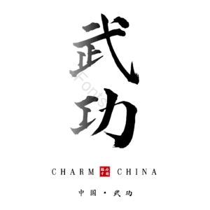 武功