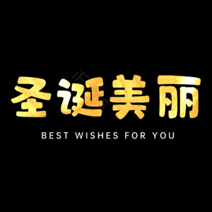 圣诞美丽