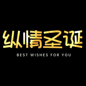 纵情圣诞