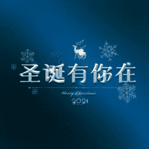 圣诞有你在