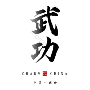 武功