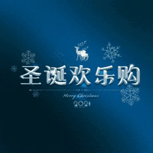 圣诞欢乐购