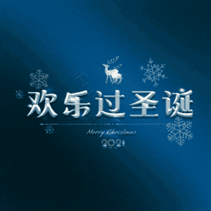 欢乐过圣诞