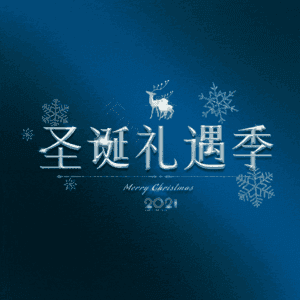 圣诞礼遇季
