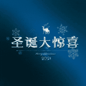 圣诞大惊喜