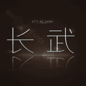 长武
