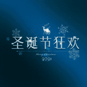 圣诞节狂欢