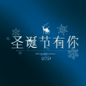 圣诞节有你