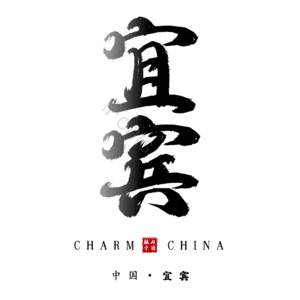 宜宾