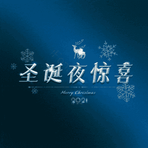 圣诞夜惊喜
