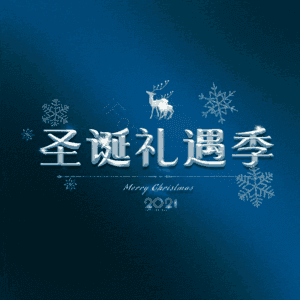 圣诞礼遇季