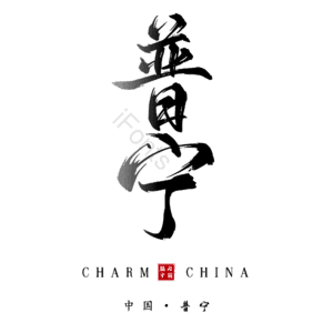 普宁