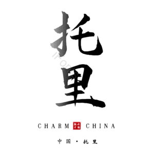 托里