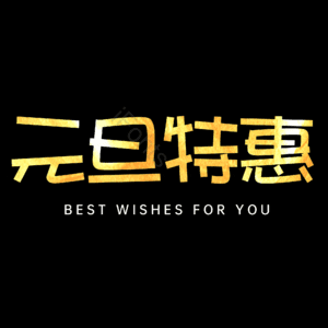 元旦特惠