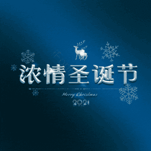 浓情圣诞节