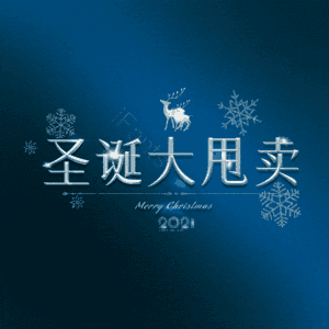圣诞大甩卖
