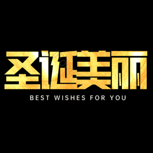 圣诞美丽