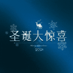 圣诞大惊喜