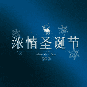 浓情圣诞节