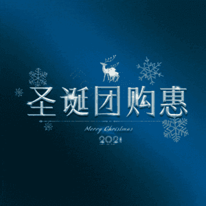 圣诞团购惠