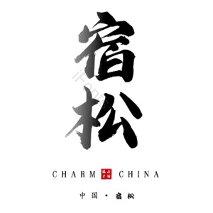 宿松