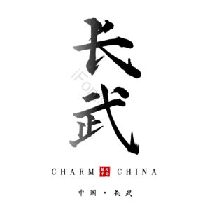 长武