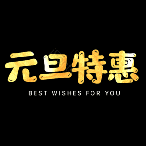 元旦特惠