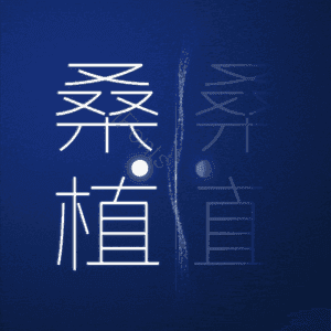 桑植