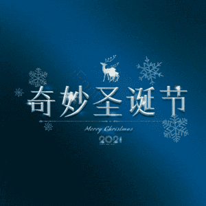 奇妙圣诞节