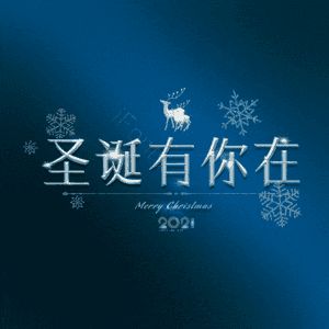 圣诞有你在