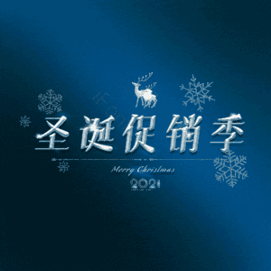 圣诞促销季