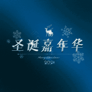 圣诞嘉年华