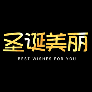 圣诞美丽