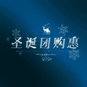 圣诞团购惠