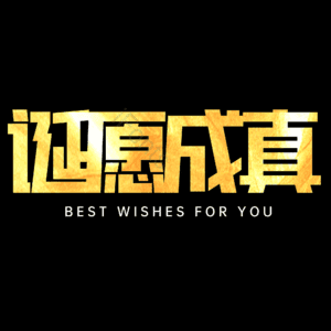 诞愿成真