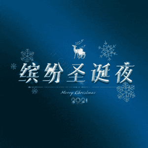 缤纷圣诞夜
