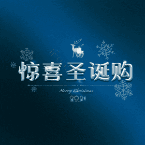 惊喜圣诞购